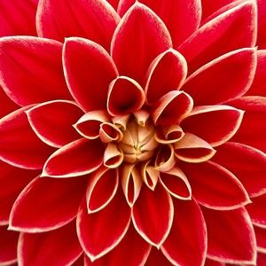 Meet your Posher, Joanne